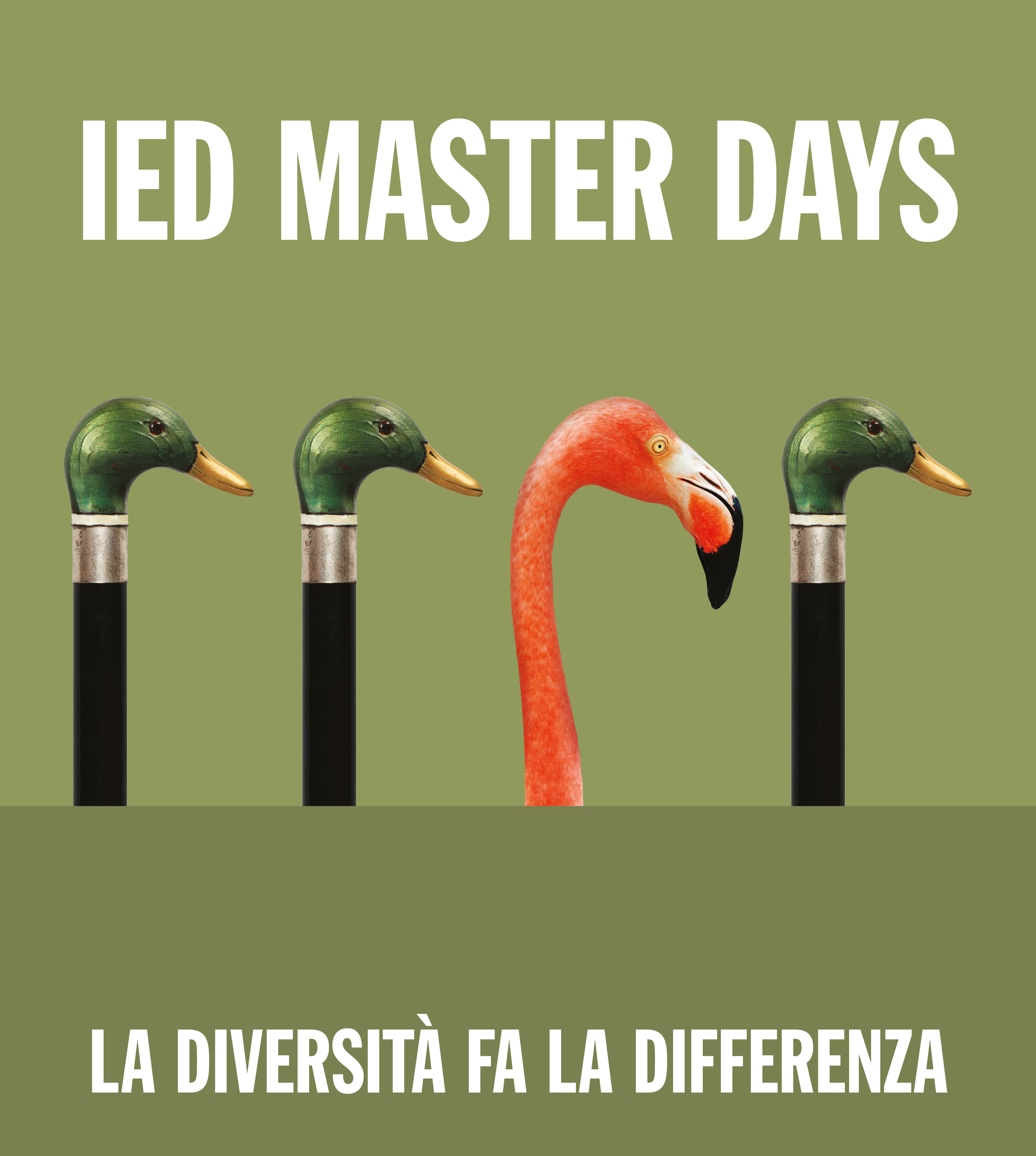 ied-master-days